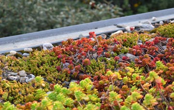 the cost of Great Saredon green roof installation