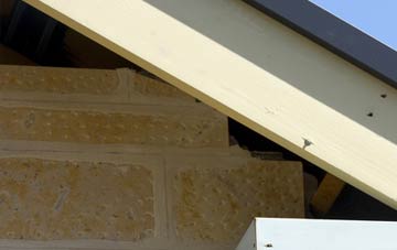 soffit repair Great Saredon