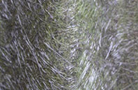 Great Saredon fibreglass roof work